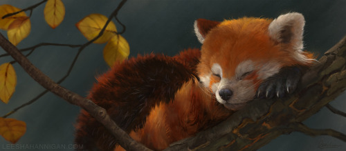 awwww-cute:  I made this for my boyfriend. He loves red pandas! (Source: http://ift.tt/22940gL)