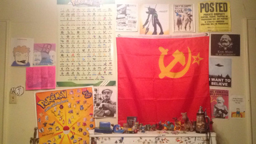 swarnpert:redid my wall and added a bunch of shit