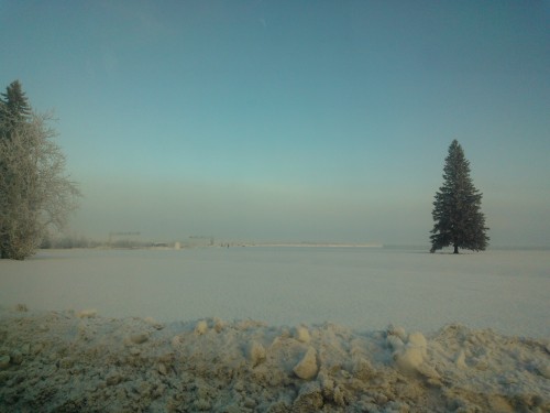 Taken on post yesterday. You can’t even see Birch Hill because of the fog lol.