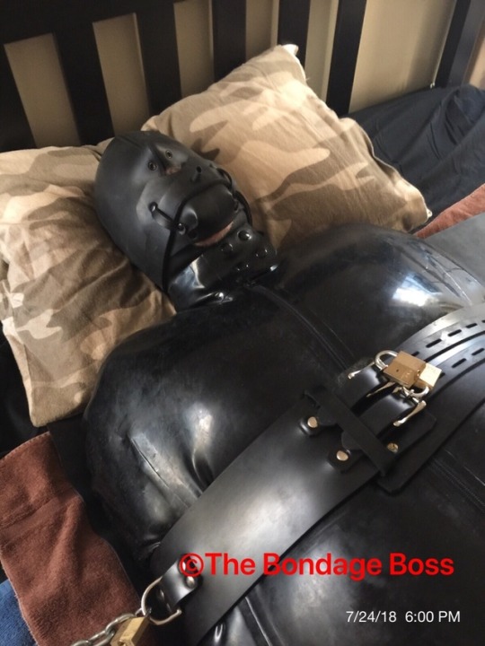 thebondageboss:  Tuesday, July 24 - Canadian pig in Bondagepig enjoys a long session in a rubber sleepsack 