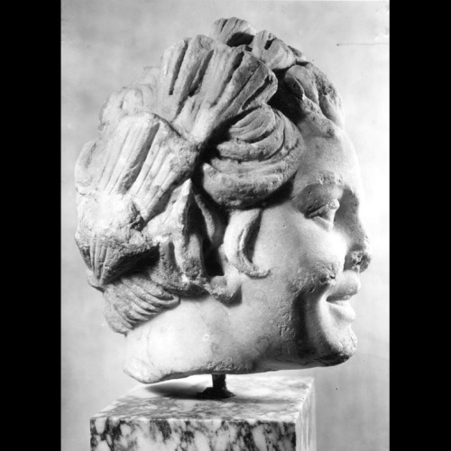 hismarmorealcalm:Head of a satyr  Found in the Terme del Foro  Museo Ostiense 