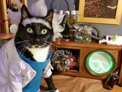 cat-cosplay:  WHAAAAAT UP!   Yeah I got bored