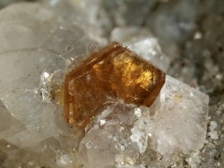 ifuckingloveminerals:  Bastnäsite-(Ce)Trimouns