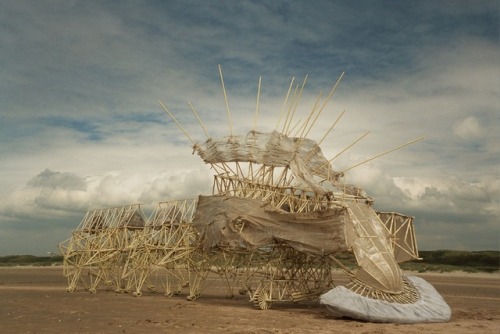 talesfromweirdland:Three of Dutch artist Theo Jansen’s kinetic “Strandbeesten” (Beach Beasts).You ha