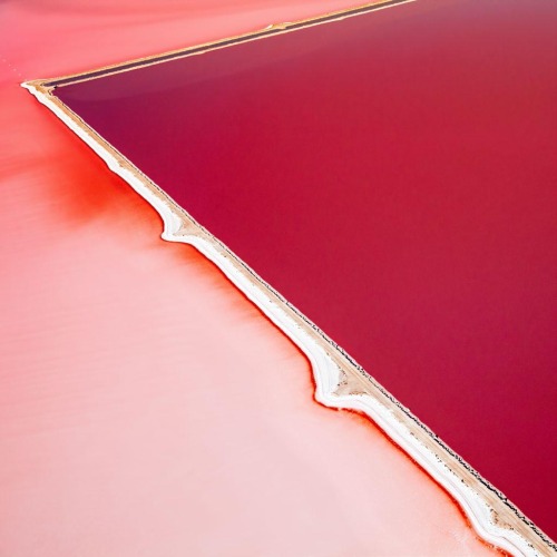 darksilenceinsuburbia: Steve Back: Hutt Lagoon website 