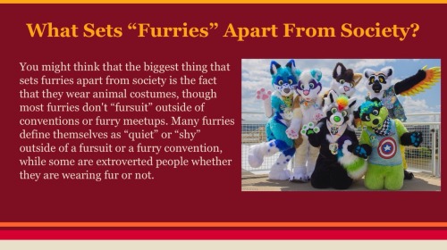 clean-furry-fuzzbutts:  The furry subculture! Now with visuals! Hope you all enjoy c: