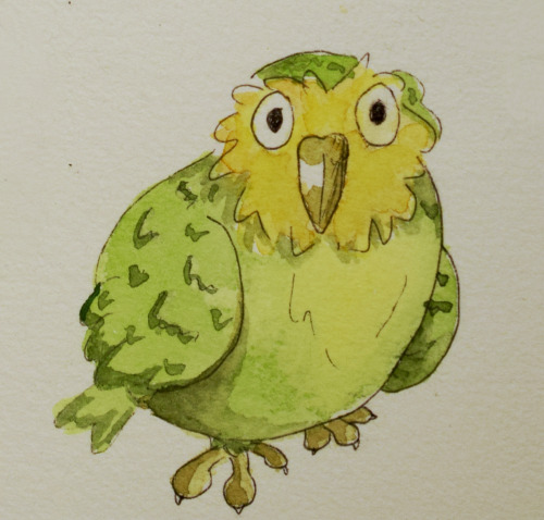 More Kakapo Doodles! The World Needs More Kakapos!