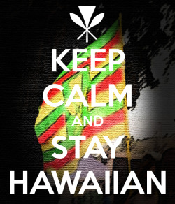 stayhawaiian2015:Updated 2015 Original meme