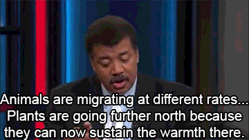 blunt-science:NDT on How Nature has Responded to Climate Change.