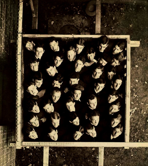 Harvard 1930’s