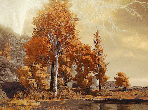 Elden Ring Scenery | Altus Plateau