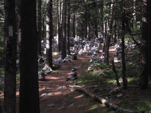 June 30th, 2011 Hiking all morning, Bacchus and I stopped for lunch at Little Rock Pond; We would lo