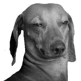  “guys are always hitting on me its SO annoying&quot;  