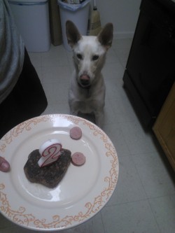 My Baby Is 2 Years Old Today And She Got A Very Special Treat Just For Today :)