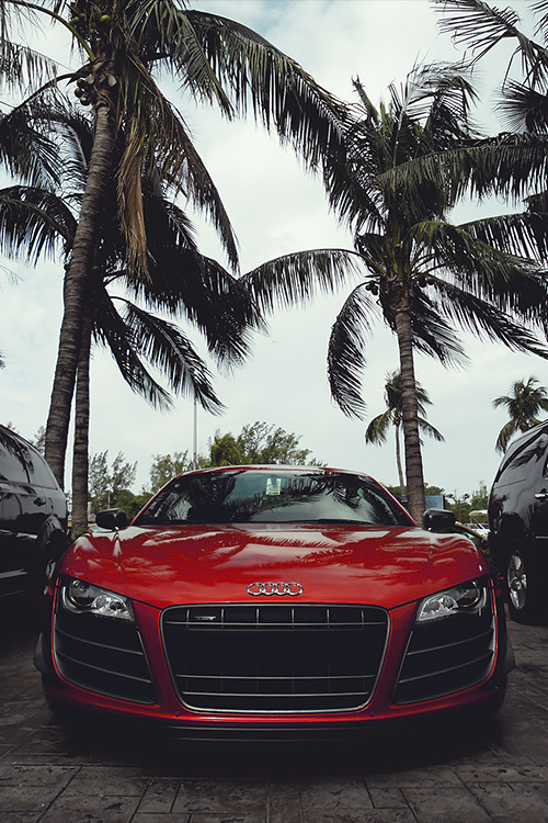 Porn Pics auerr:  Audi R8 GT 