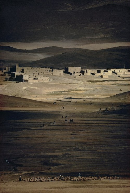 forevernoon:Imilchil, Haut-Atlas, Maroc. Harry Gruyaert, 1986