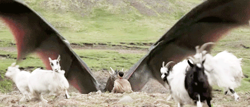 h0llow3yes:wedrinkmoriartea:hootbird:hernance:Game of thrones - Making of the Dragonsok ive been aware of this show for AWHILE my ex used to watch it constantly but i literally didn’t care about it at all until i saw these dragons……file under: things