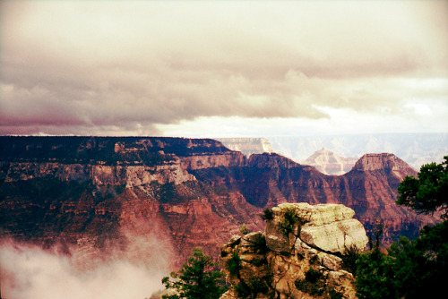 the69thdimension: Grand Canyon South Rim Cross-processed Fuji Velvia 100 // Leica M5