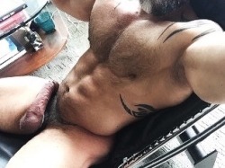 Muscle Bear Hairy