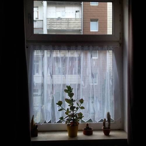 Mum Knows Best... Again... #bedroom #curtain #finally (hier: Fredenbaum)