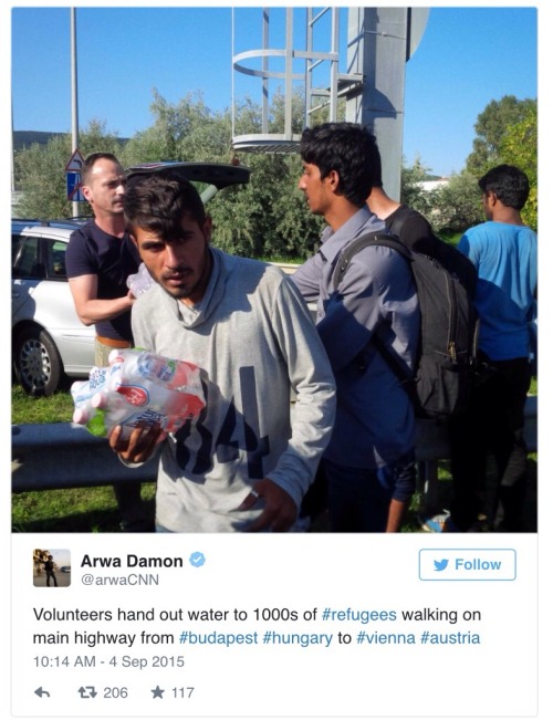 trusting-the-disgusting: mypersonalbrandofheroin: fiftythreecrimes: European Citizens Providing Food