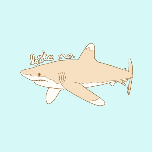 kippydraw:  HAPPY SHARK WEEK!! enjoy some pastel sharks✨  You can also find these designs on my Redbubble! 
