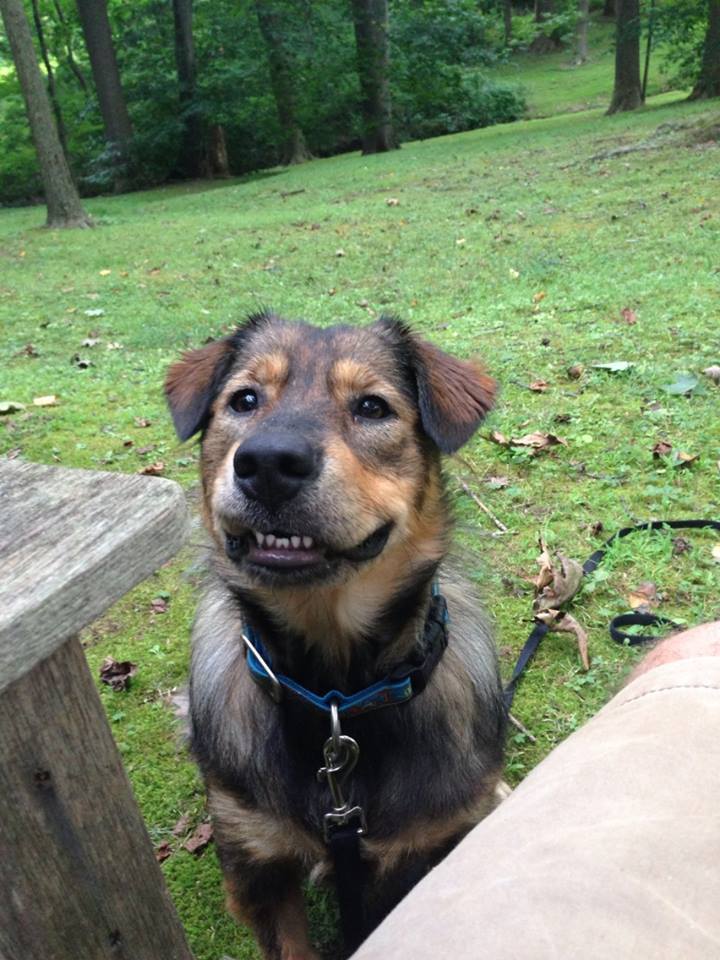 awwww-cute:  Never had a dog growing up 