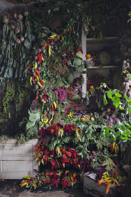 culturenlifestyle:Abandoned Detroit House is Transformed with 36,000 FlowersIn November 2014, floris