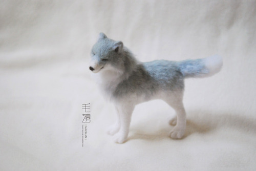 ▋Young Wolf ( special order, for a book cover design )Sculpture approximately 5 x 12 x 12 