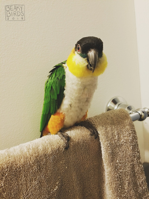 Is it shower time yet, mom?