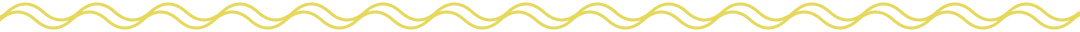 yellow squiggly divider