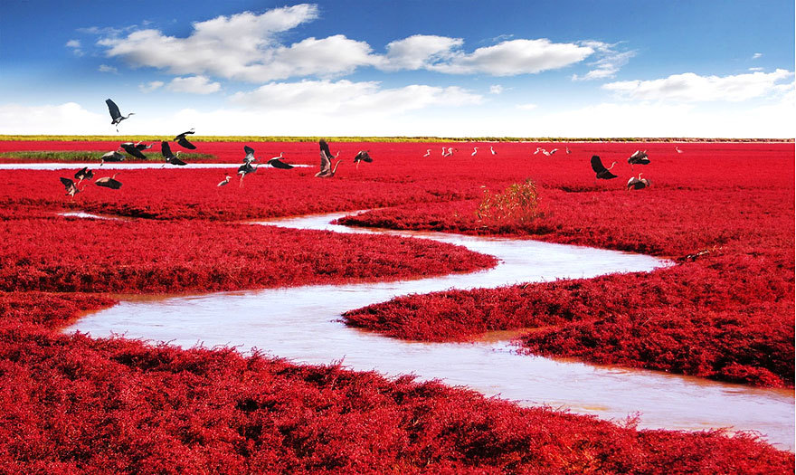  20 places that don’t look real (part 2)11.Mount Roraima-Venezuela12.Naico mine-Mexico13.Red