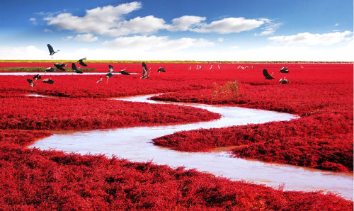  20 places that don’t look real (part 2)11.Mount Roraima-Venezuela12.Naico mine-Mexico13.Red beach-China14.Solar du Uyuni-Bolivia15.Tainzi mountians-China16.Tulip fields-Netherlands17.Tunnel of love-Ukraine18.Wisteria flower tunnel-Japan19.Zhangye Danxia