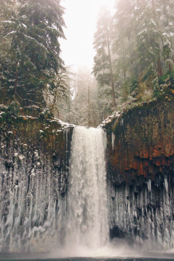 expressions-of-nature:  Frozen Paradise by