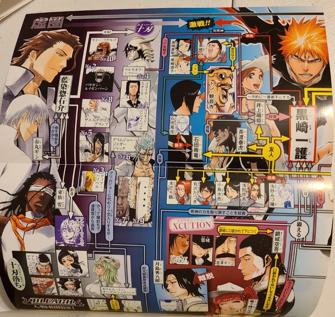 Can T Fear Your Own World My Physical Copy Of Bleach Spirits Are Forever