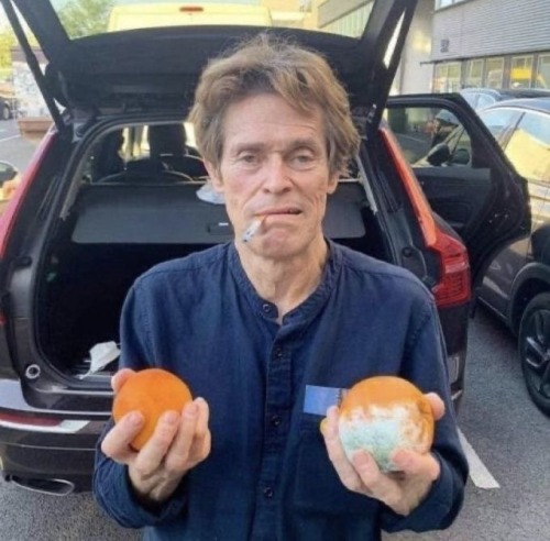 Just Because Ya Can. Doesnt Mean Ya Should- PFFFF Nah Lets Make Oranges Sentient! Or Rather Clementines.
