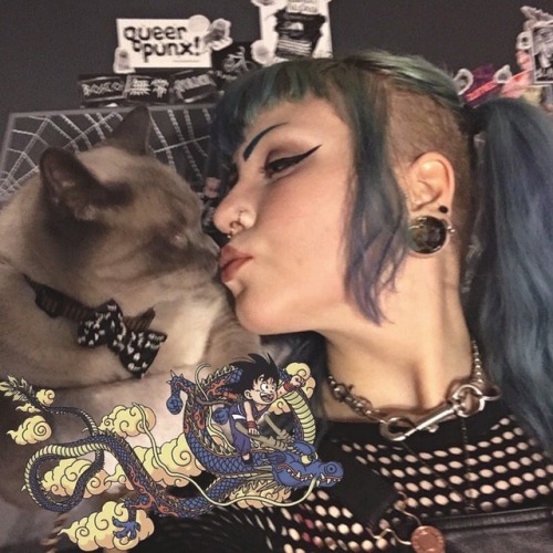 Love my baby boy• • • #gokusiamese #siamese #bluepoint #bluepointsiamese #goth #altgirl #septum #n