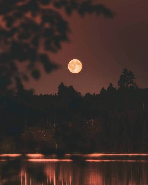 XXX essenceofnatvre:    jabe147 Full Moon Rising photo