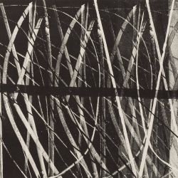 regardintemporel:  Hans Hartung - L 1970-26,