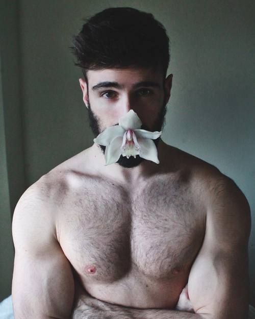 All the Beardos