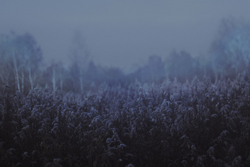 definitelydope:Last night on our hill. With you. (by laura makabresku)