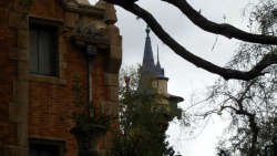 kellythemortalgirl:  devonjd7:  View from the Cemetery -Walt Disney World, February 2014  (flushing noises in the distance)