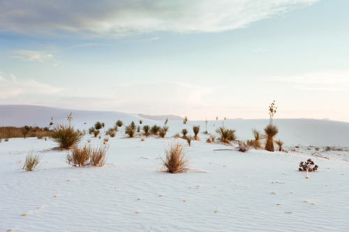 theriversandtheroads:  Dream World.  White Sands, New Mexico.  