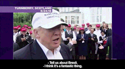 sandandglass:  David Tennant steps in to correct Donald Trump’s comments about Scotland and Brexit [Video] 