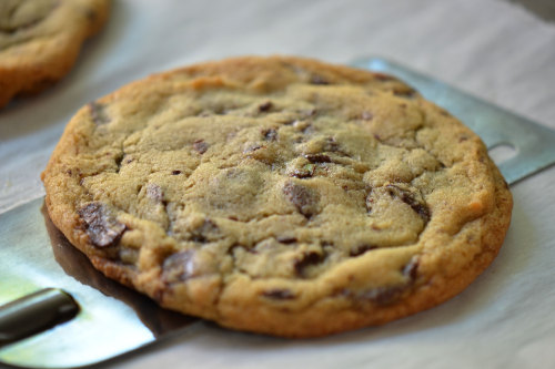 callie-quite-contrary: tango-mango: This recipe makes only two cookies. Albeit, two big, beautiful&n