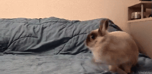 Les Lapins Cretins