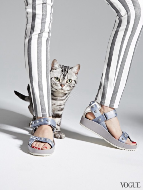 kikiavelarferreira:The Cat  and the Flat photographed by Charlie Engman  for Vogue, March 2014