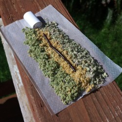 Johannesnw:  2 Grams Blackberry, 2 Grams Bluedreams, 1.3 Grams Bho And .7 Grams Of