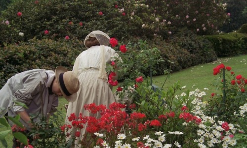 timotaychalamet:A Room with a View (1985) dir. James Ivory