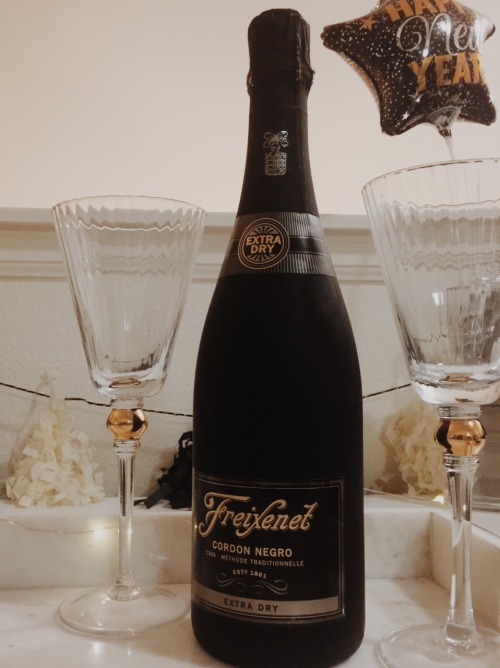 cankathleen: cheers to the new year!